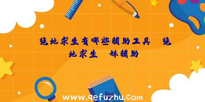 「绝地求生有哪些辅助工具」|绝地求生aa妹辅助